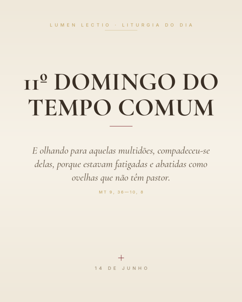 11º Domingo do Tempo Comum — Mt 9, 36—10, 8