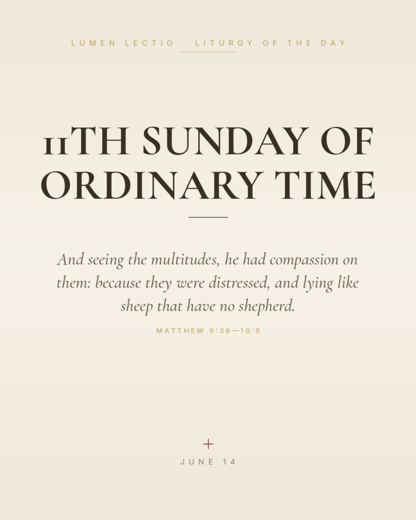 11th Sunday of Ordinary Time — Matthew 9:36—10:8